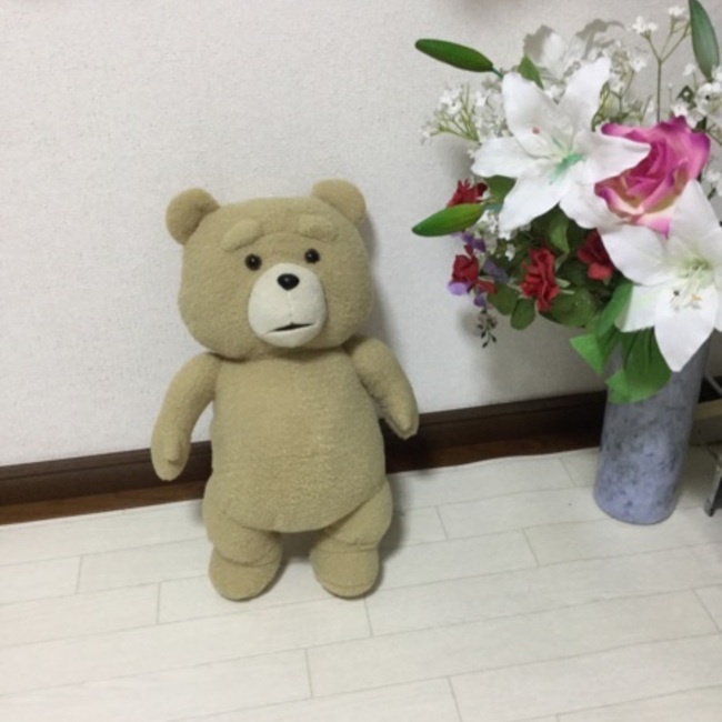 にゃんこのカバー写真