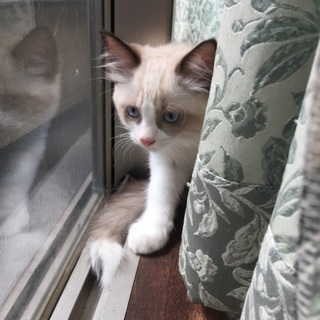 ありがとうございました。