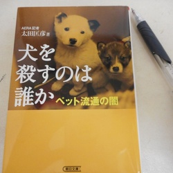 「2匹の里親になって  思うこと」サムネイル3