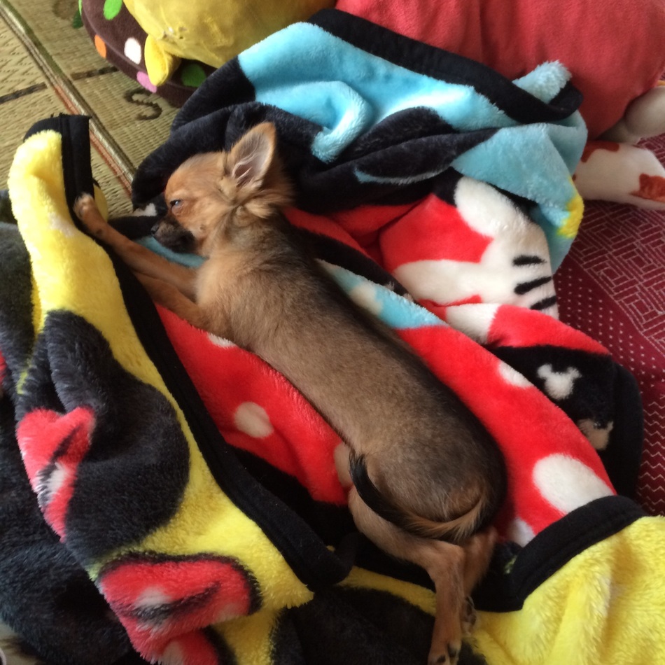 リくのカバー写真