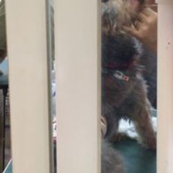 2回目の歯磨き教室