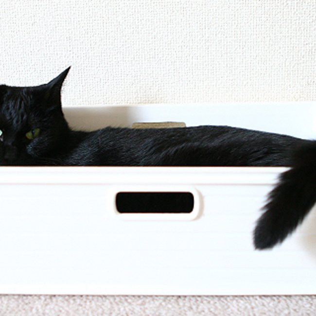 スンチャンのカバー写真