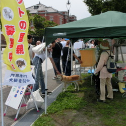 門司港レトロ・犬猫を守る会　公開譲渡会