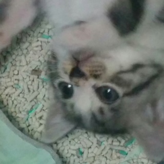 可愛すぎ女の子