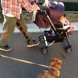 「IDタグ」サムネイル2