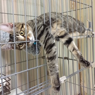 札幌・及び近郊へのお届け可