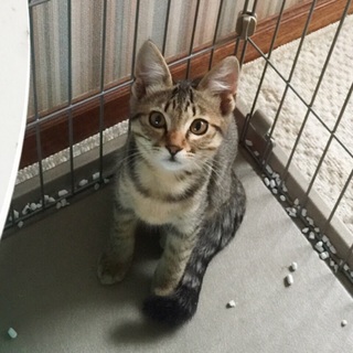 札幌・及び近郊へのお届け可