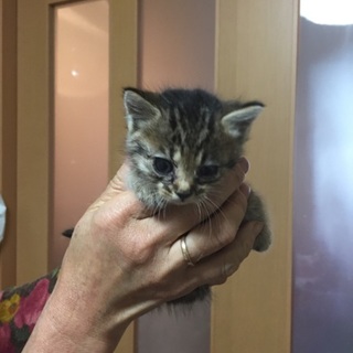 宜しくお願いします