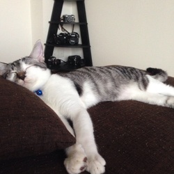 「２回目の3種ワクチン接種！」サムネイル2