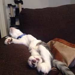 ２回目の3種ワクチン接種！