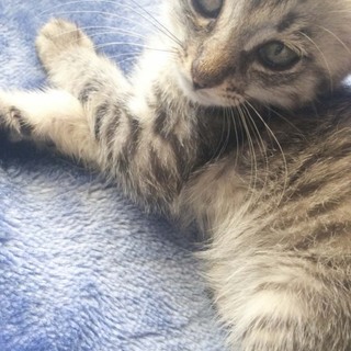 気品溢れるすずくん！