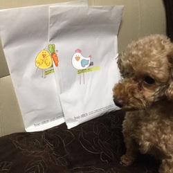 ごはんのサンプル