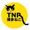 TNR-博多ねこ(保護活動者)