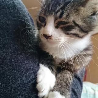 有り難うございました。