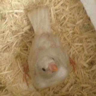 たくさんのご応募ありがとうございました