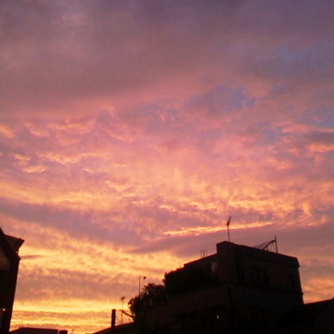 ハロウママのカバー写真