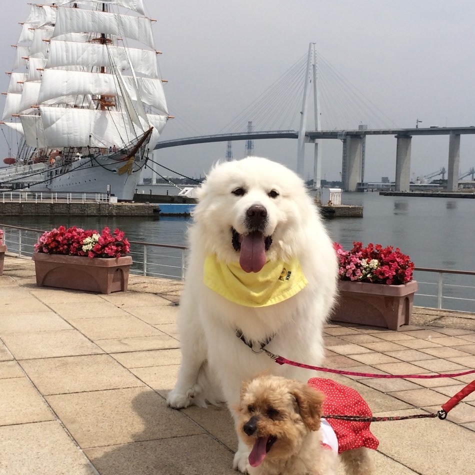 キミのカバー写真