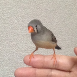 たくさんのご応募ありがとうございました