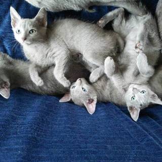 とても元気でｶﾜ(・∀・)ｲｲ!!です