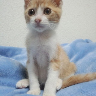 おっとりさんな男の子♪