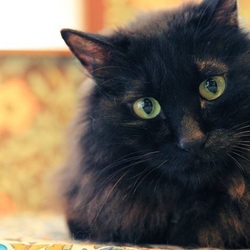 ■プロカメラマン マンツーマン指導付き撮影会 サムネイル3