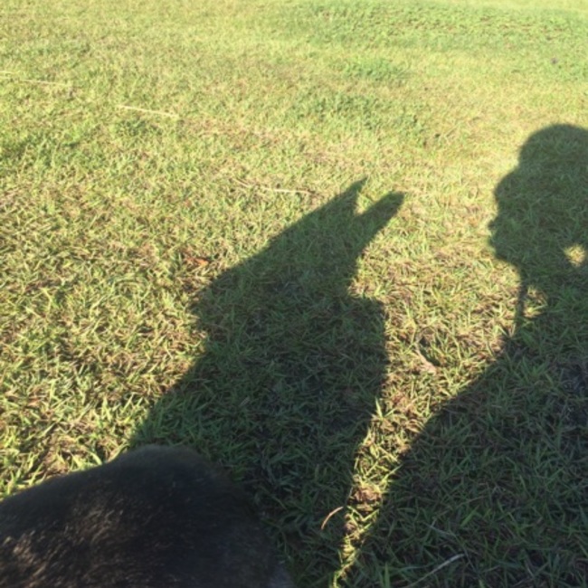 しのとものカバー写真