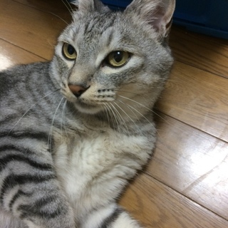 里親さんが決定しました！