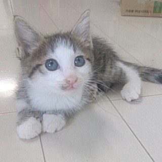 ☆優しい顔立ちのノアくん☆