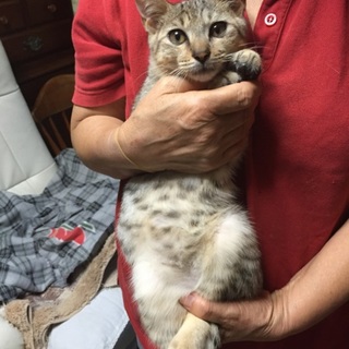 甘えん坊の男の子☆