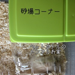 「モッピーの癖を把握して、レイアウトを模索しなきゃ」サムネイル2