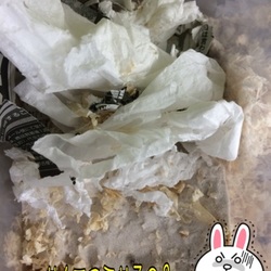 「モッピーの癖を把握して、レイアウトを模索しなきゃ」サムネイル3