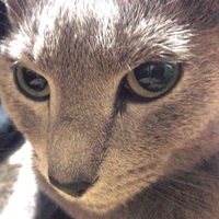 ニッチ