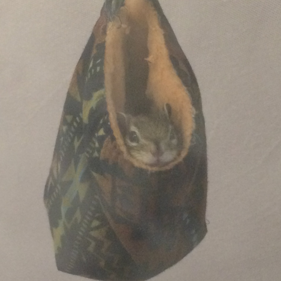 昊のカバー写真