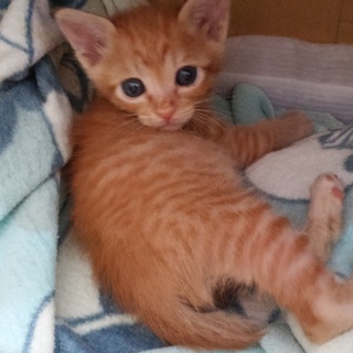 多数ご応募ありがとうございました！