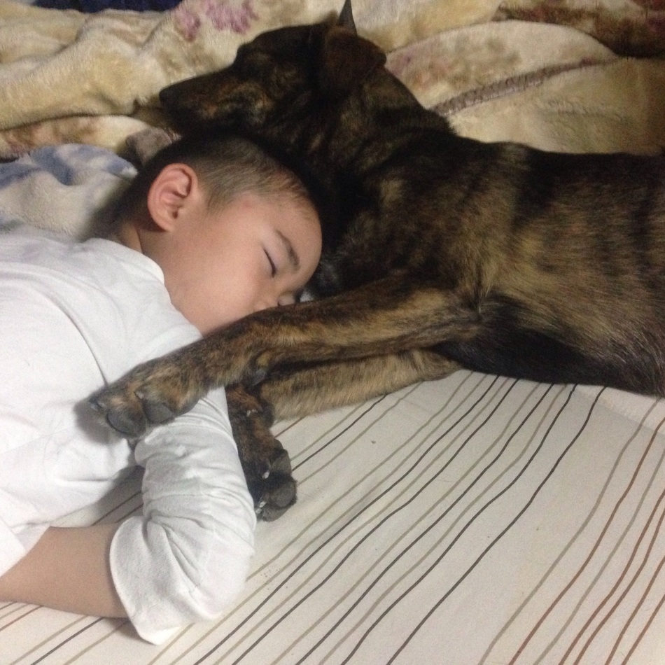 miliのカバー写真