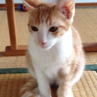 マイペースで可愛いです。