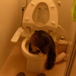 新ちゃんお願いいたします。