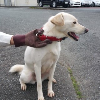 飼い主のお迎えがありました！！