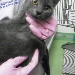 有り難うございました。