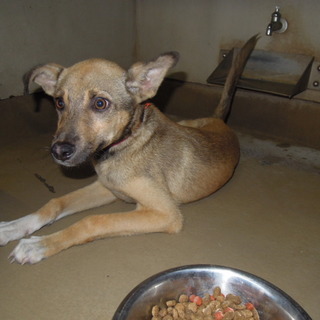 家族が出来ました！！