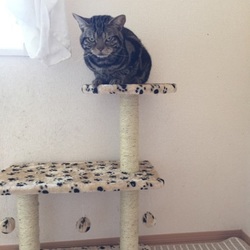 お気に入りの…