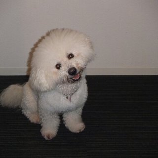 ６歳男の子　たくさん愛情を注いでくださる方