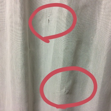 の写真