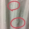 の写真