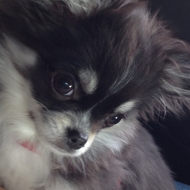 抱っこが大好き♪