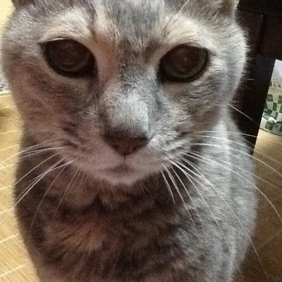 空  と  海のカバー写真