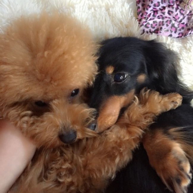 ミズキチのカバー写真