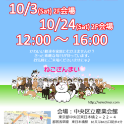 へい！お待ち♪ねこざんまい初譲渡会！10月3日(土)12時スタート！