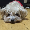 この子に光を与えて下さい。