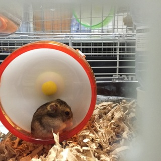 引き渡し終了しました！